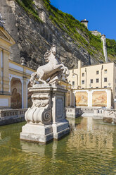 Österreich, Salzburg, Pferdeschwemme - AMF003660