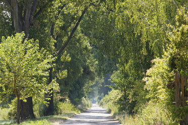 Österreich, Burgenland, Andau, Landstraße - SIEF006425