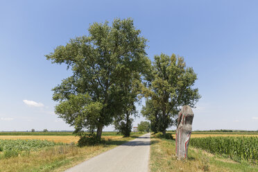 Österreich, Burgenland, Andau, Landstraße - SIE006426