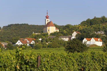 Österreich, Burgenland, Donnerskirchen, St. Martinskirche - SIEF006432