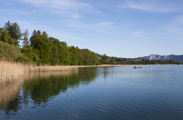 Austria, Salzkammergut, Lake Irrsee - WWF003440