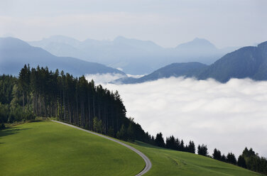 Austria, Upper Austria, Salzkammergut, Mondsee, forest road and clouds - WWF003447