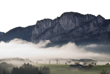 Österreich, Mondsee, Drachenwand im Morgennebel - WWF003453