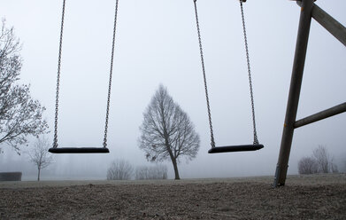 Österreich, Mondsee, zwei Schaukeln vom Spielplatz und kahler Baum im Morgennebel - WW003546