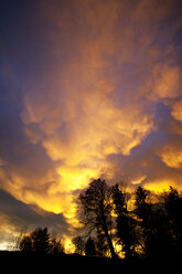 Stimmungsvoller Himmel am Abend - WWF003465