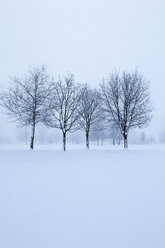 Austria, Mondsee, snow-covered winter landscape - WWF003551