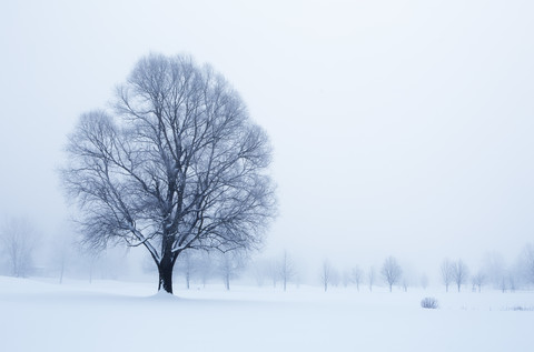 Österreich, Mondsee, schneebedeckte Winterlandschaft, lizenzfreies Stockfoto