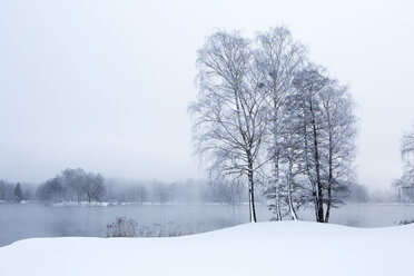 Österreich, Mondsee, schneebedeckte Winterlandschaft - WWF003552