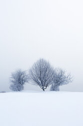 Austria, Mondsee, snow-covered winter landscape - WWF003590