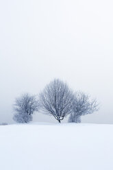Österreich, Mondsee, schneebedeckte Winterlandschaft - WWF003590