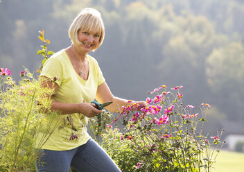 Österreich, Mondsee, Frau beschneidet Pflanze in ihrem Garten - WWF003639