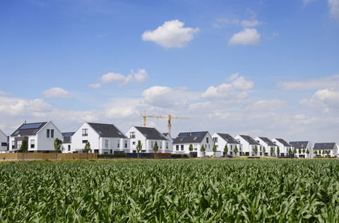 Deutschland, Düsseldorf, Neubaugebiet mit Einfamilienhäusern und Doppelhäusern, lizenzfreies Stockfoto