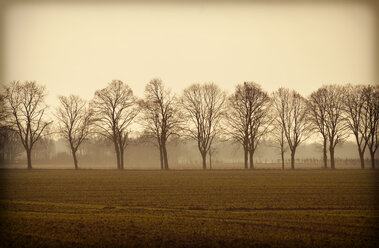 Germany, alley of bare trees - GUFF000090