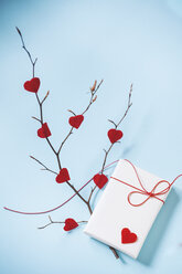 Valentine's Gift And Branch With Red Hearts - BZF000004