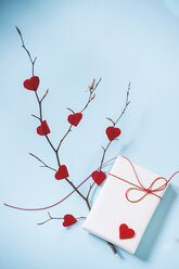 Valentinstag Geschenk und Zweig mit roten Herzen - BZF000004