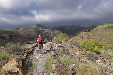 Canary Islands, La Gomera, Alajero, woman walking on hiking trail Sendero Quise - SIEF006440