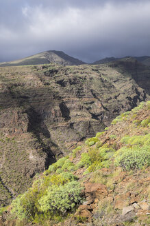 Kanarische Inseln, La Gomera, Alajero, Barranco Charco Hondo - SIEF006441