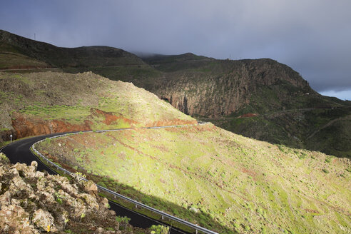 Kanarische Inseln, La Gomera, Bergpass bei Alajero - SIEF006444