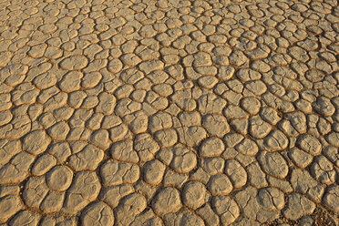 Afrika, Namibia, Sossusvlei, Dead Vlei, gebrochene Oberfläche einer Tonpfanne - ESF001534