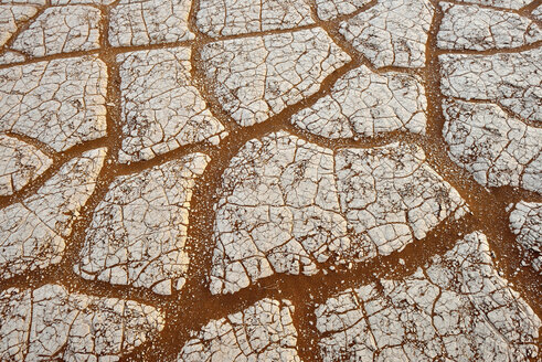 Namibia, Namib-Wüste, Sossusvlei, Rissige Oberfläche in der Salz- und Lehmpfanne am Dead Vlei - ESF001535