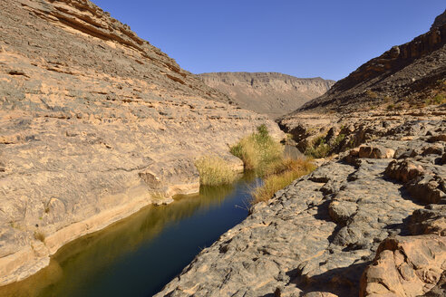 Afrika, Algerien, Tassili N'Ajjer National Park, Iherir, Wasser in einem Guelta in der Idaran-Schlucht - ES001538