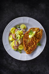 Dish of escalope and fried potatoes - KSWF001400