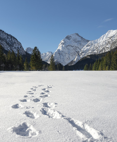 Austria, Tyrol, Pertisau, footprints in snow stock photo