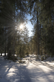 Österreich, Tirol, Pertisau, Winterlandschaft - MKFF000157