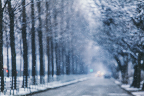 Unscharfe Bäume im Winter mit selektivem Fokus auf Schneeflocken, lizenzfreies Stockfoto