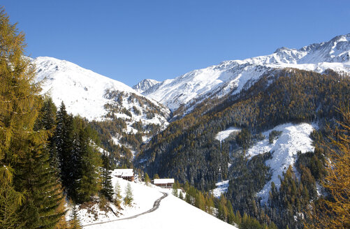 Österreich, Osttirol, Kals am Großglockner, Hohe Tauern, Bergbauernhof - WWF003596