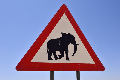 Afrika, Namibia, Provinz Kunene, Damaraland, Straßenschild mit Elefantenwarnung, lizenzfreies Stockfoto