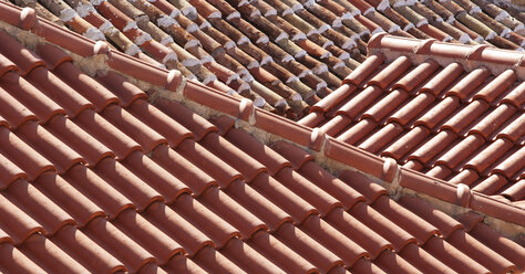 Roof tiles - WWF003566