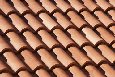 Roof tiles - WWF003567