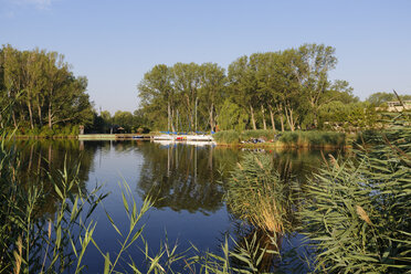 Austria, Burgenland, Lake Neusiedl at Purbach am Neusiedler See - SIEF006448