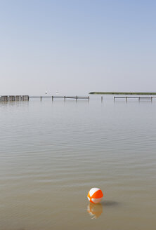 Österreich, Burgenland, Neusiedler See, Badestelle Breitenbrunn am Neusiedler See - SIEF006451