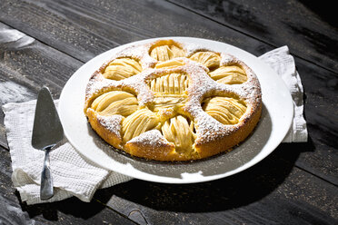 Selbstgebackener Apfelkuchen auf Kuchenplatte - MAEF009679