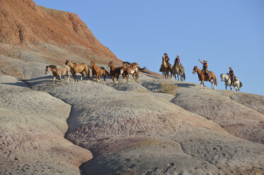 USA, Wyoming, Cowboys und Cowgirls hüten Pferde in den Badlands - RUEF001460