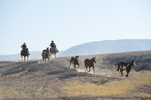 USA, Wyoming, zwei Cowboys hüten Pferde in den Badlands - RUEF001473