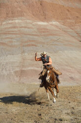 USA, Wyoming, Big Horn Mountains, reitender Cowboy, der das Lasso schwingt - RUEF001493