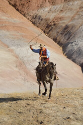 USA, Wyoming, Big Horn Mountains, reitender Cowboy, der das Lasso schwingt - RUEF001494