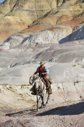 USA, Wyoming, Big Horn Mountains, Cowboy reitet mit Lasso in der Hand - RUEF001497