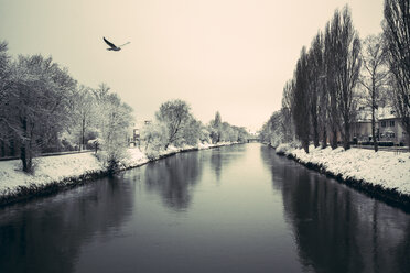 Germany, Landshut, Isar River in winter - SARF001309