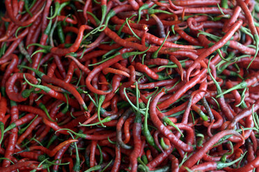 Indonesia, Simeulue, red chili pods at market - FLK000567