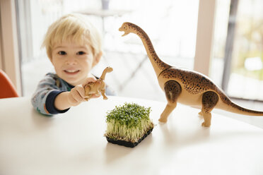 Little boy playing with toy dinosaurs and box of cress on a table - MFF001461