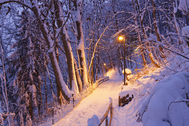 Germany, Bavaria, Wolfratshausen, illuminated path in winter forest - SIEF006455