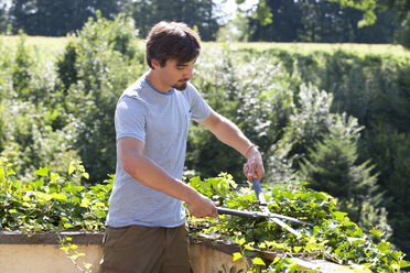 Young man pruning plants with pruner - WWF003834