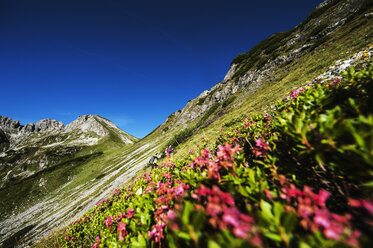 Österreich, Altenmarkt-Zauchensee, junges Paar beim Wandern in den Niederen Tauern - HHF005095