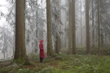 Austria, woman standing alone in the wood - WWF003784