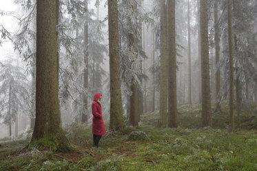 Österreich, Frau allein im Wald stehend - WWF003784