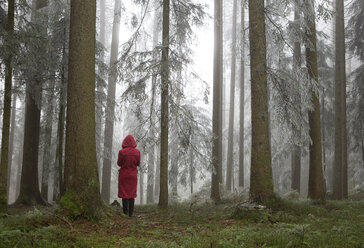 Österreich, Frau allein im Wald stehend - WWF003785